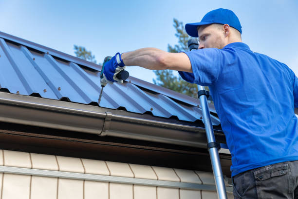 Best Roof Moss and Algae Removal  in Aragon, GA