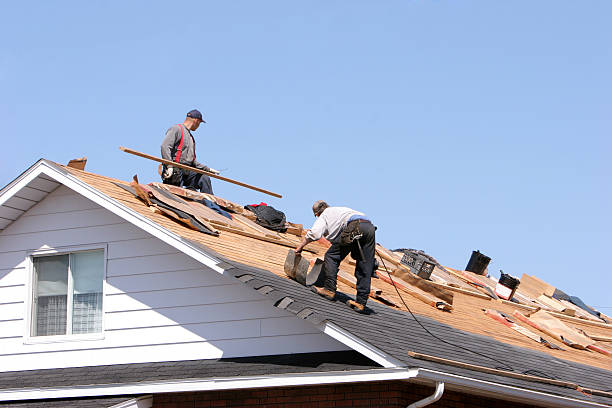 Best Roof Coating and Sealing  in Aragon, GA